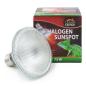 Preview: Terra Exotica Halogen Sunspot - Halogen Spotstrahler - 75 Watt